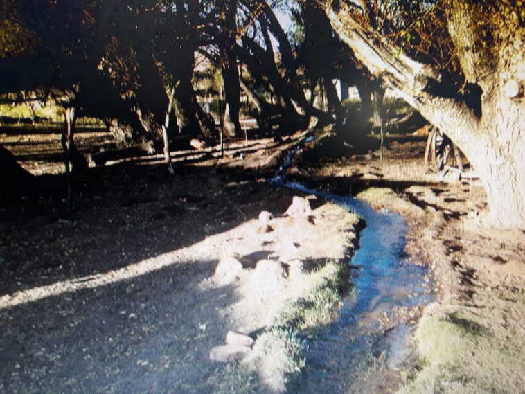 13736 hectáreas en Ramos Mexia (Rio Negro)